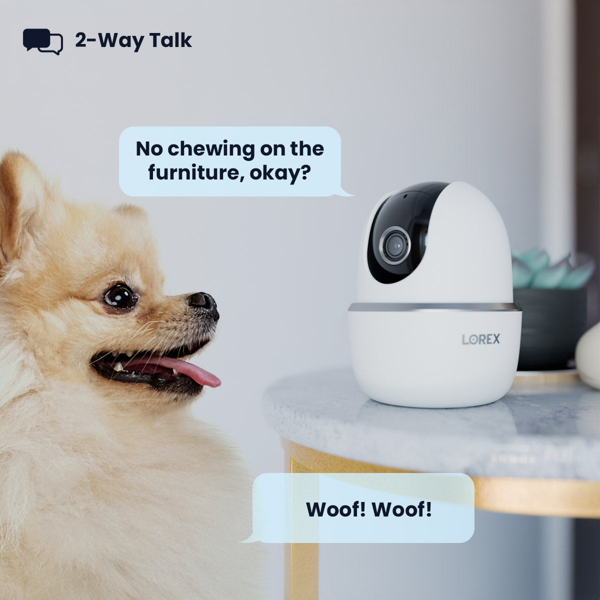 Lorex 2K Indoor Pan-Tilt Wi-Fi Pet Camera (32GB)